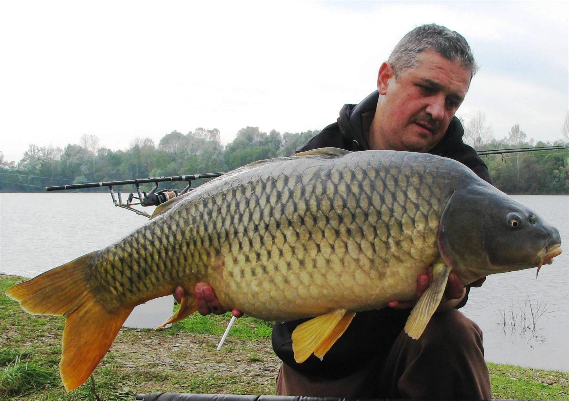 Balkan lake 25 - 31 octombrie 2014 - img1885.JPG